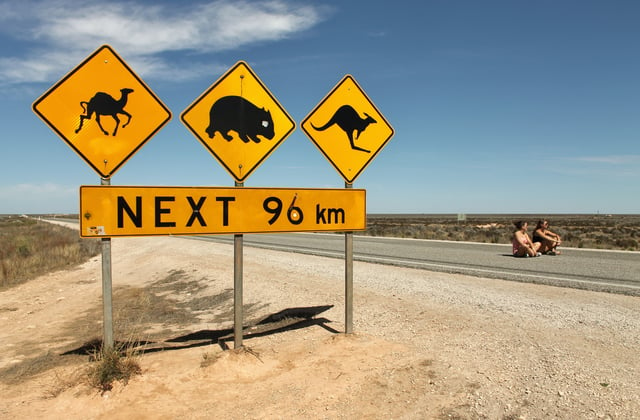 Nullarbor_warning_signs,_2012.jpg